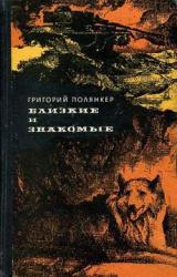 Книга Президент